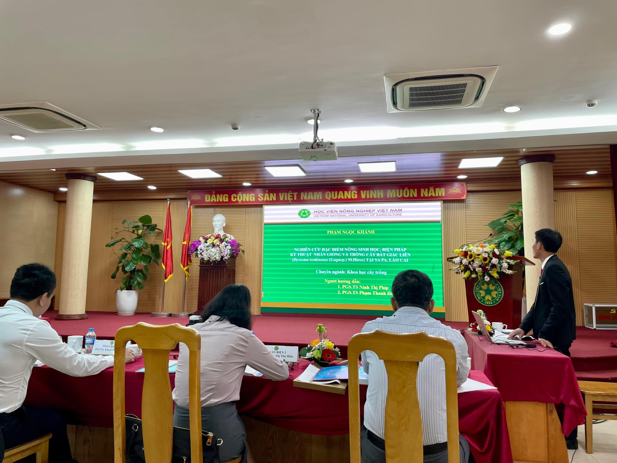 Không có ảnh
